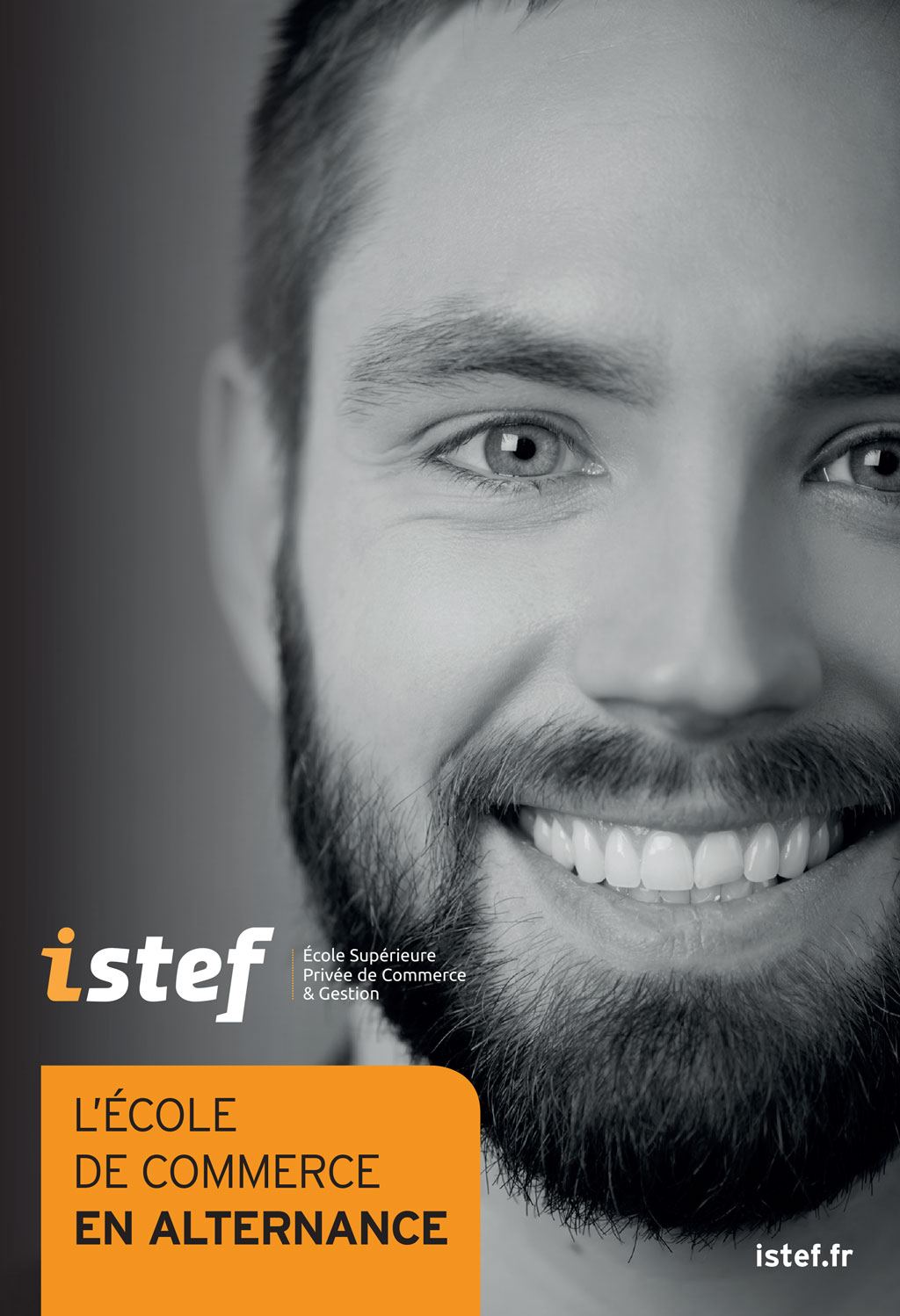 Istef - Ecole De Commerce En Alternance à Toulouse