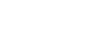 Reseau Scholis Logo Blanc